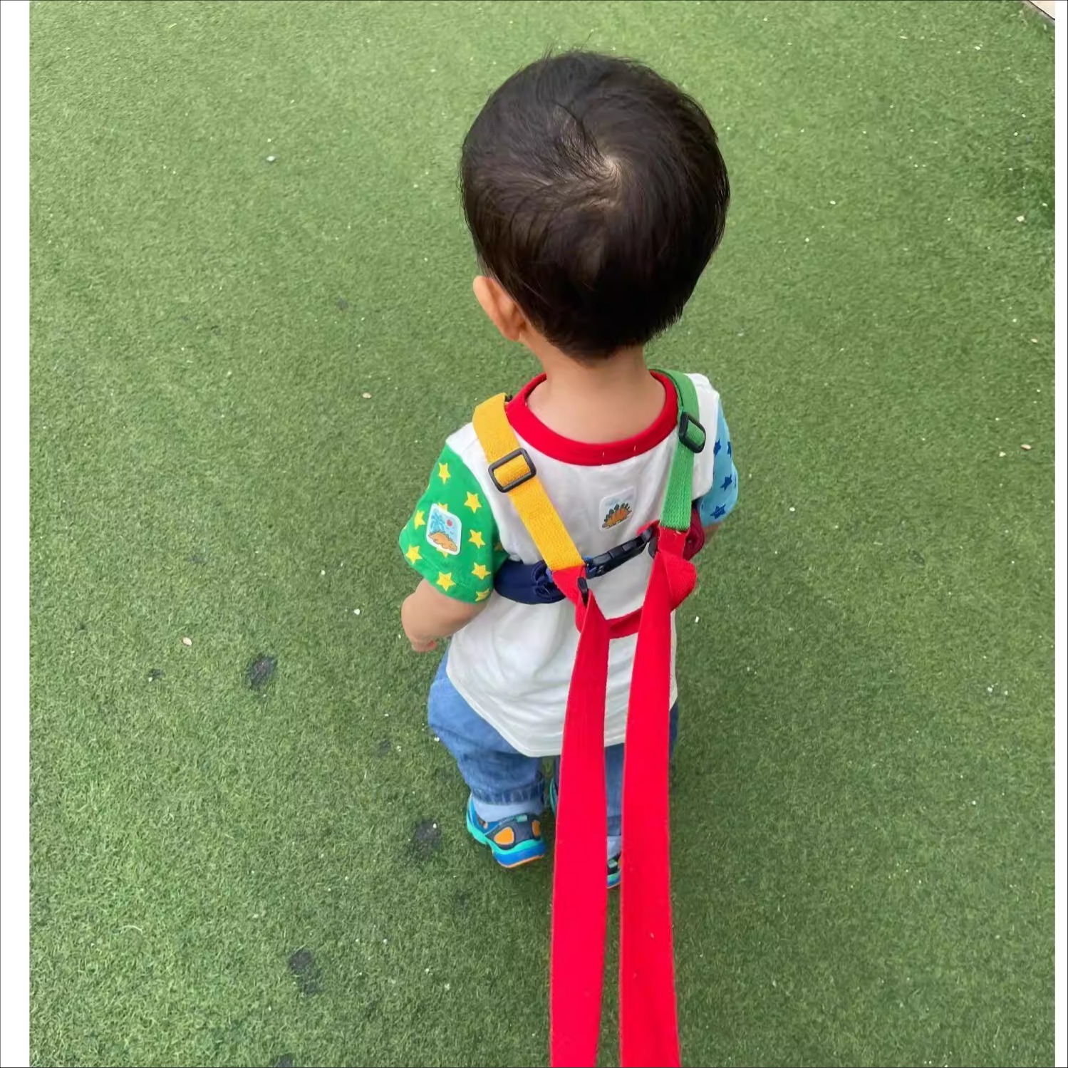 Pet Supplies Pet Shop - Child Safety Leash Anti-Lost Toddler Walking