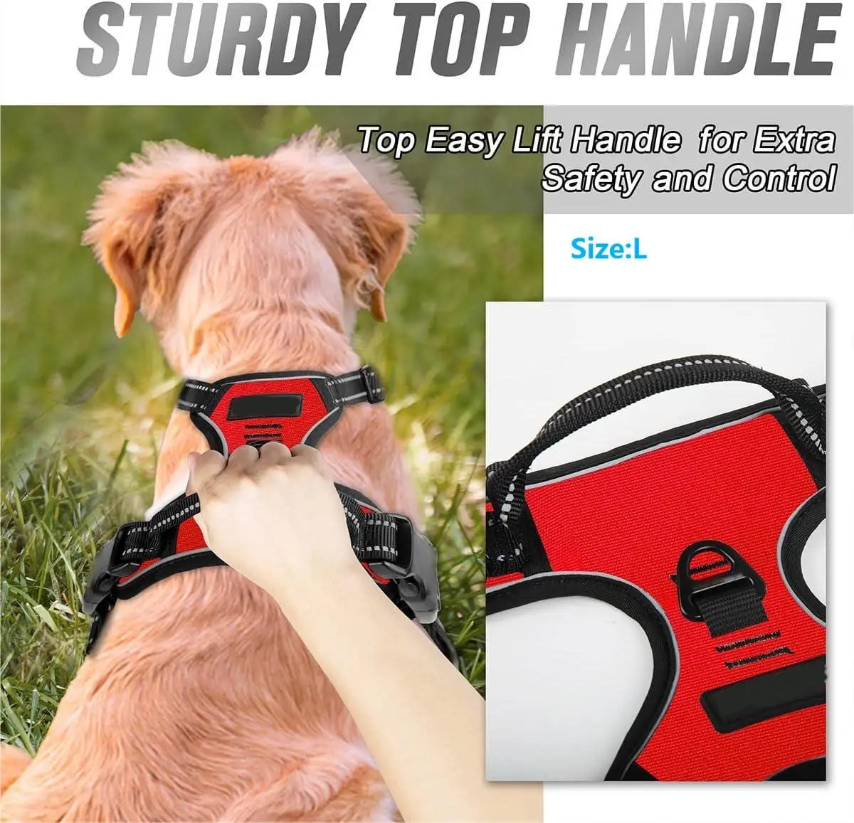 Pet Supplies Pet Shop - Dog Collar, Harness, Large Vest, Leash,
