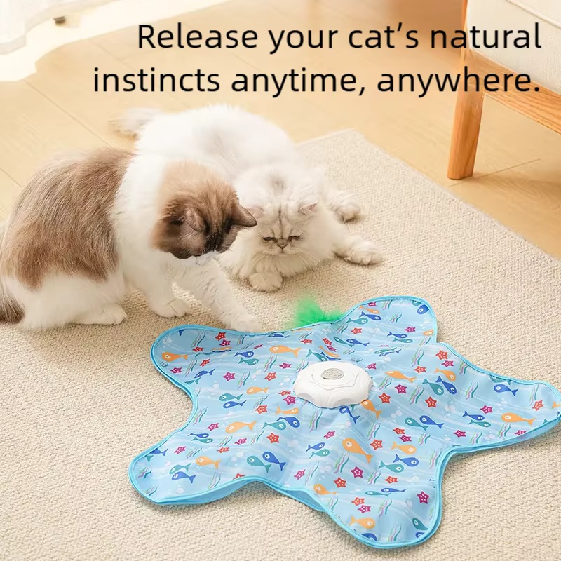 Motion Activated Interactive C - Cat Tunnel Toy ulasan dan harga