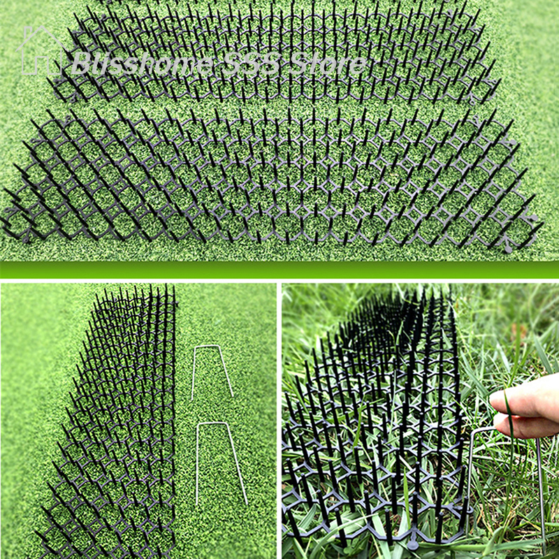 【S】Garden Cat Scat Mat Anti Ca - Pet Supplies Warehouse ulasan dan harga