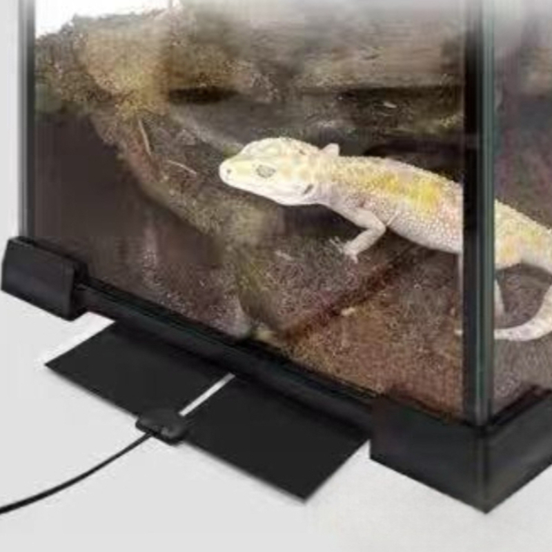 Thermostat Reptile Heating Mat - Reptile Heating Mat ulasan dan harga