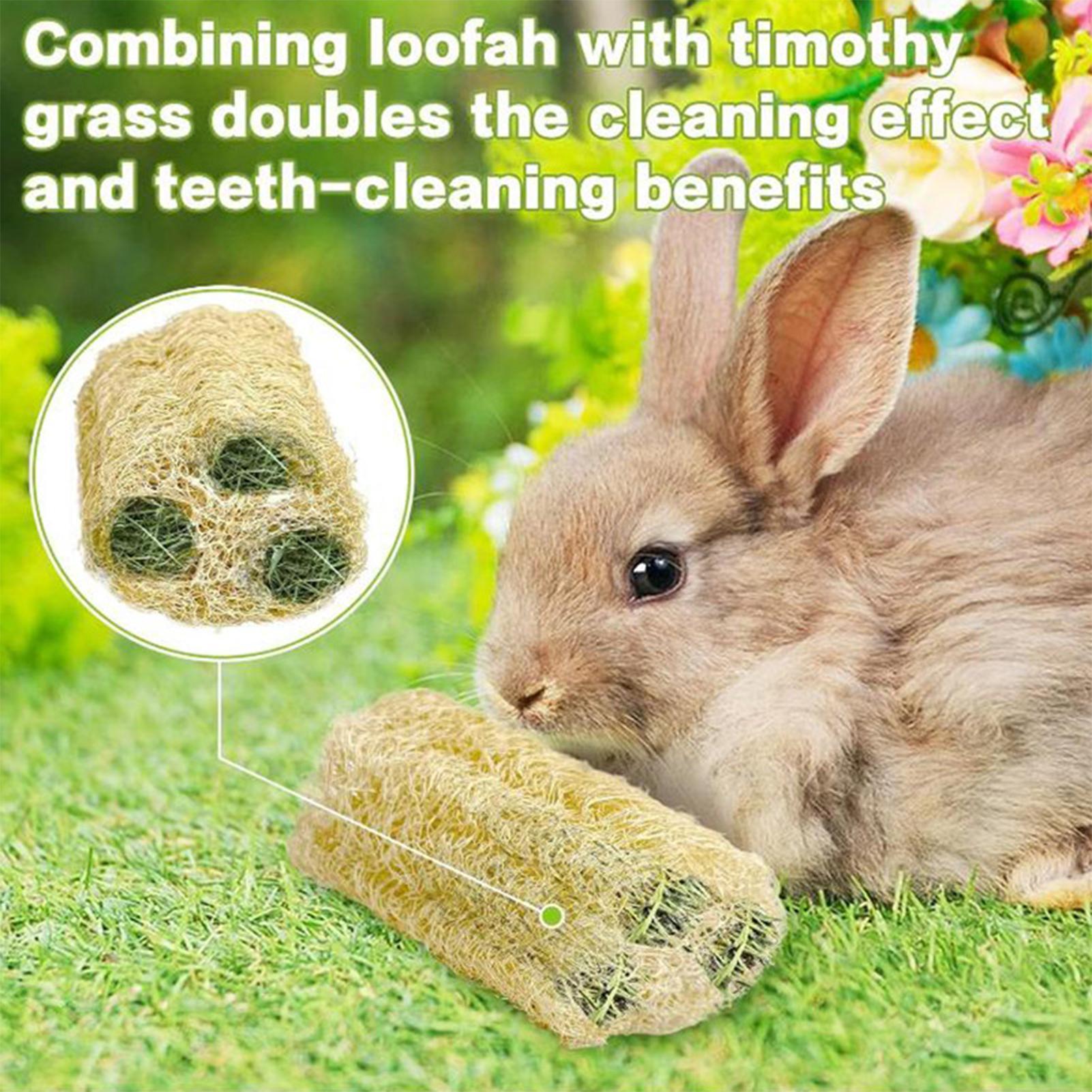 Chew Toys For Bunnies 4 Pieces - Pet Supplies Pet Shop ulasan dan harga