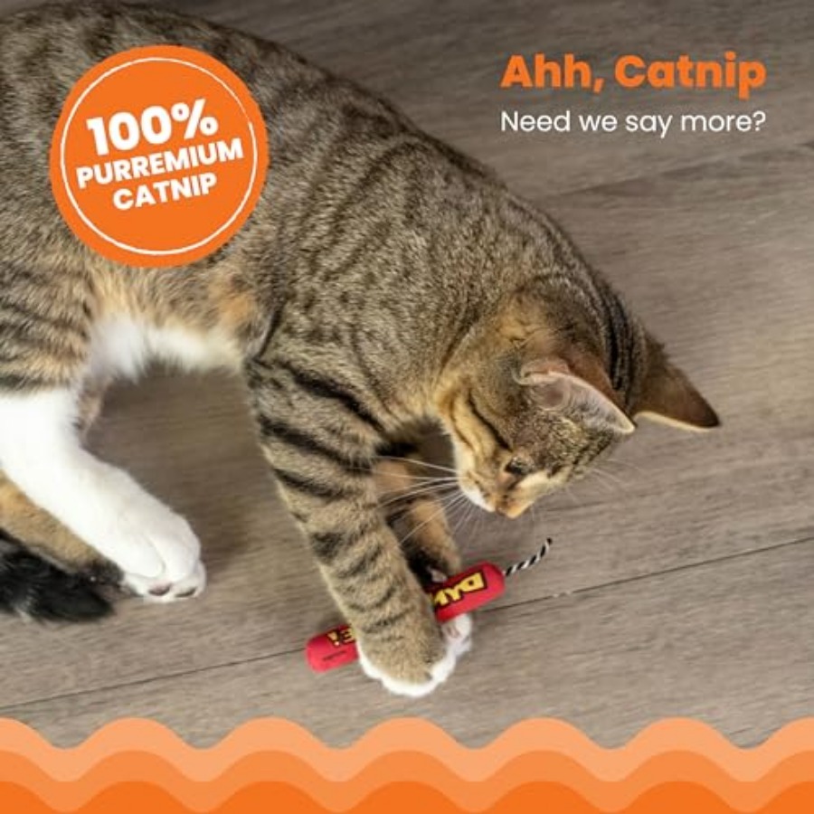 Green Magic Dynamite Stick Cat - Catnip Toys ulasan dan harga