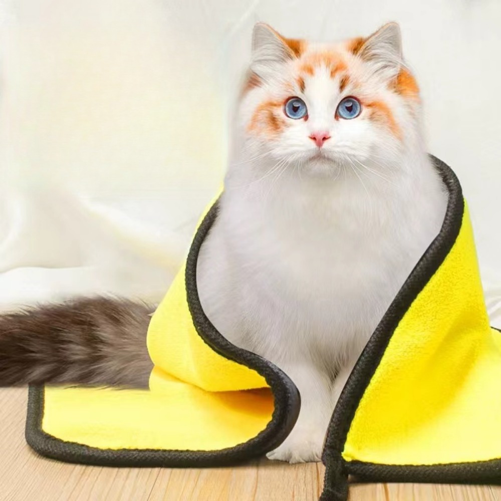 E5 Quick-drying Pet Dog Access - Pet Supplies Pet Shop ulasan dan harga