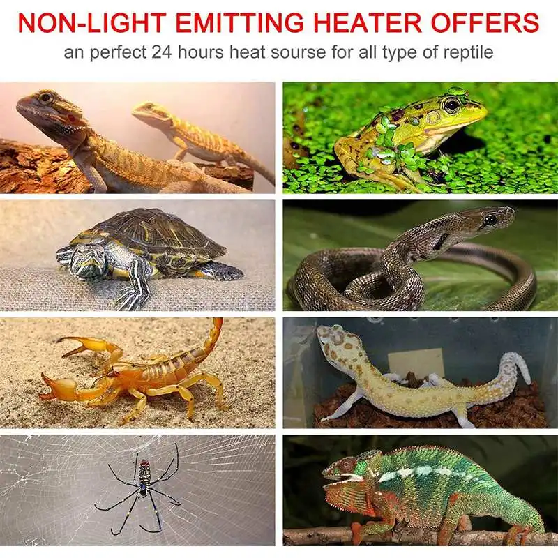 5W-20W 110V Heating Warm Pad f - Reptile Heating Mat ulasan dan harga