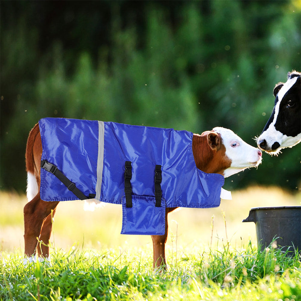 Warmth Protection Waterproof W - Pet Supplies In ulasan dan harga