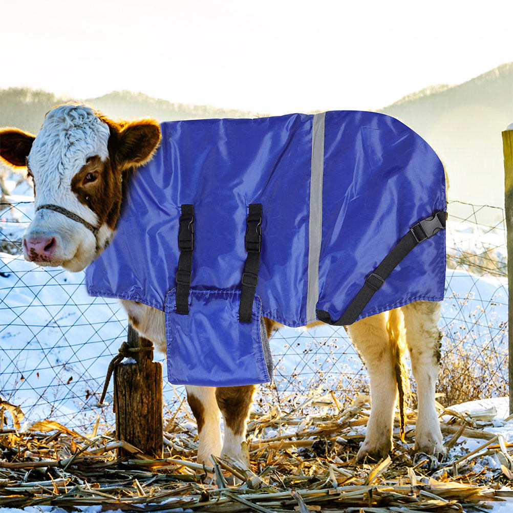 Warmth Protection Waterproof W - Pet Supplies In ulasan dan harga