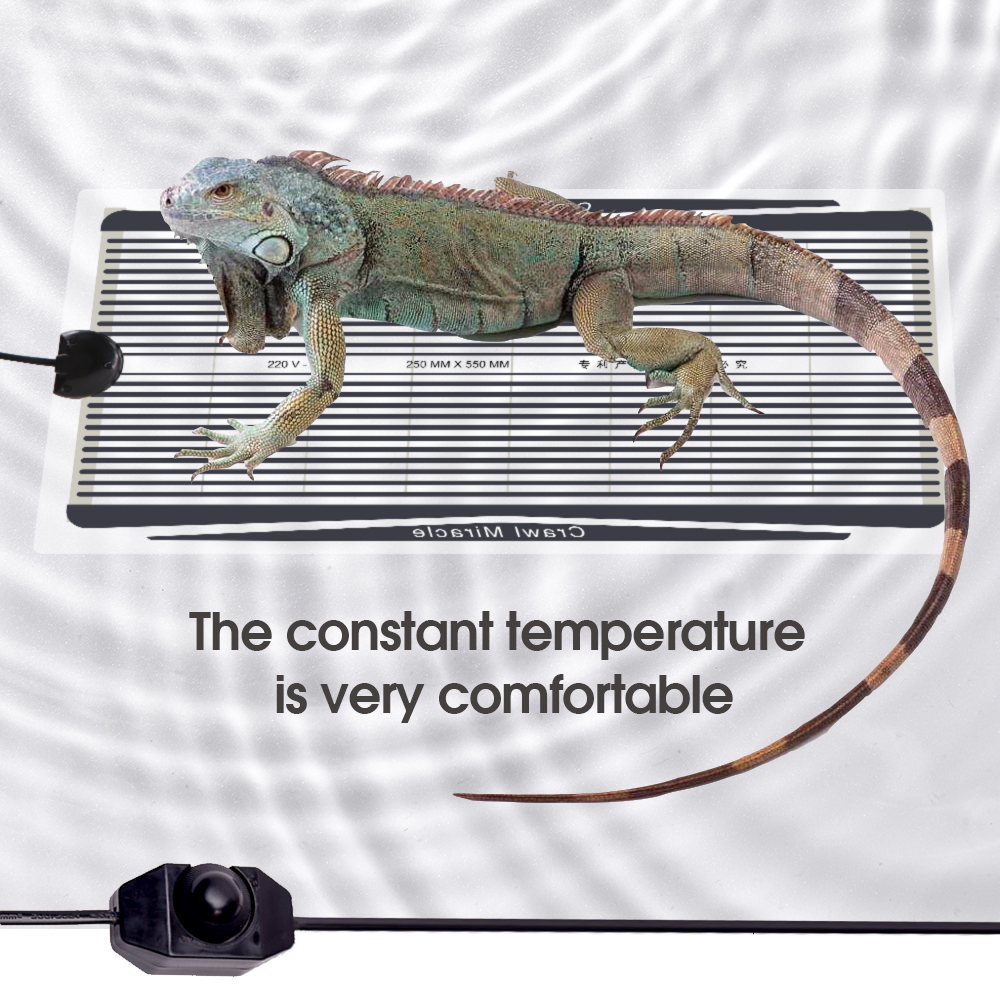 5W-35W Plant Heating Mat Graph - Reptile Heating Mat ulasan dan harga