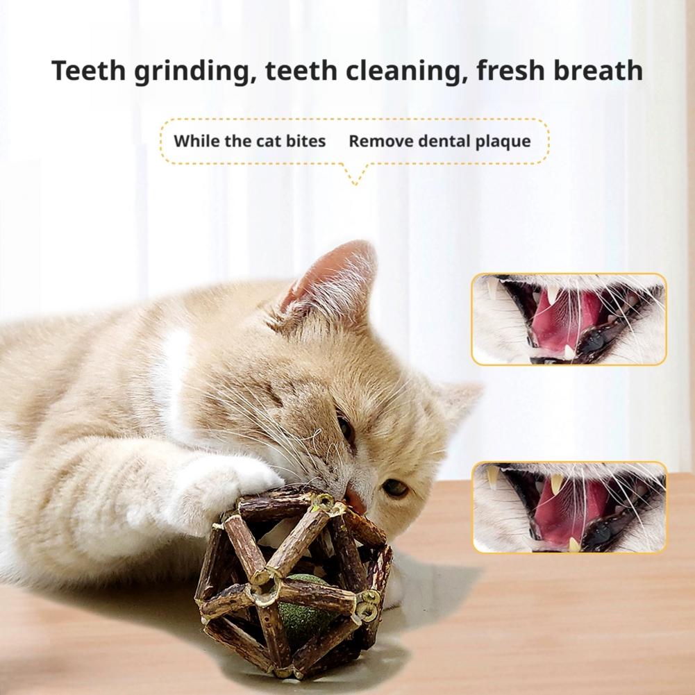Catnip Ball Cat Interactive To - Catnip Toys ulasan dan harga