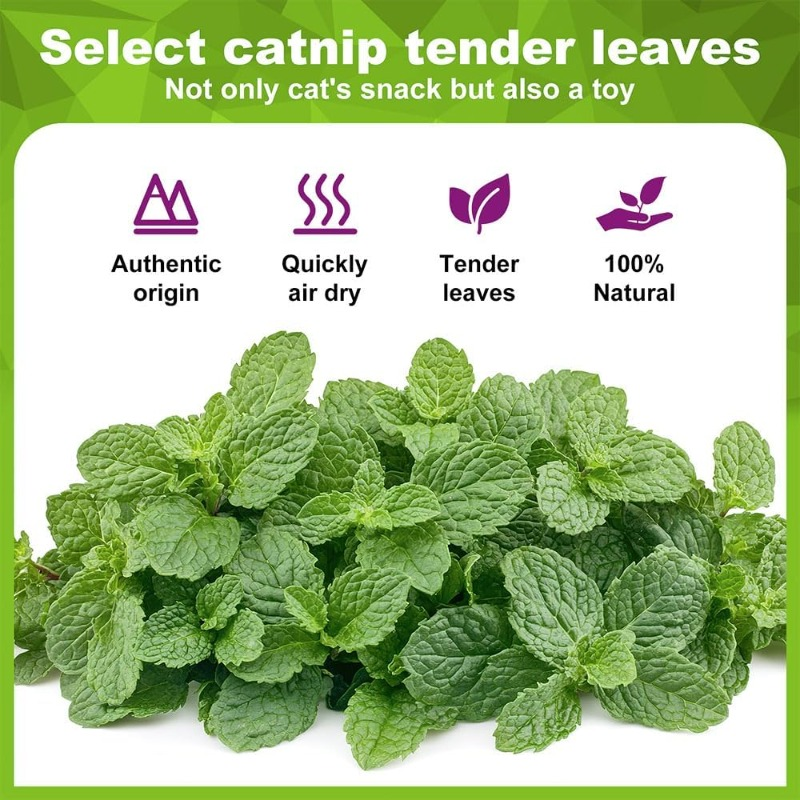 5/10/20Pcs Natural Catnip Ball - Catnip Toys ulasan dan harga