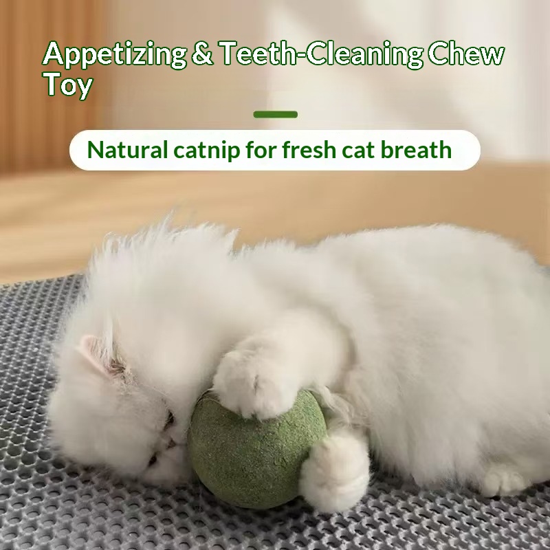 Catnip Ball Extra Large Cat To - Catnip Toys ulasan dan harga