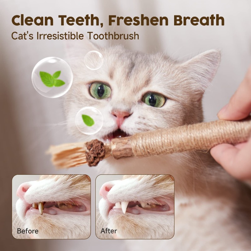 1pc Containing Natural Catnip  - Catnip Toys ulasan dan harga