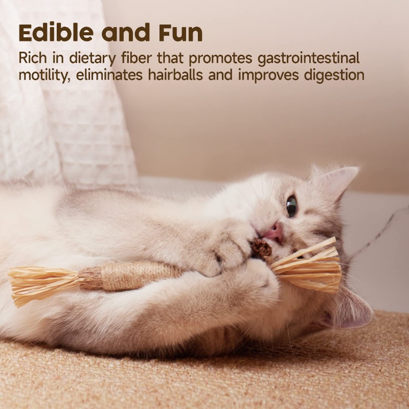1pc Containing Natural Catnip  - Catnip Toys ulasan dan harga