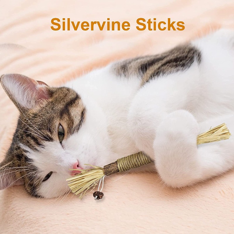1pc Containing Natural Catnip  - Catnip Toys ulasan dan harga