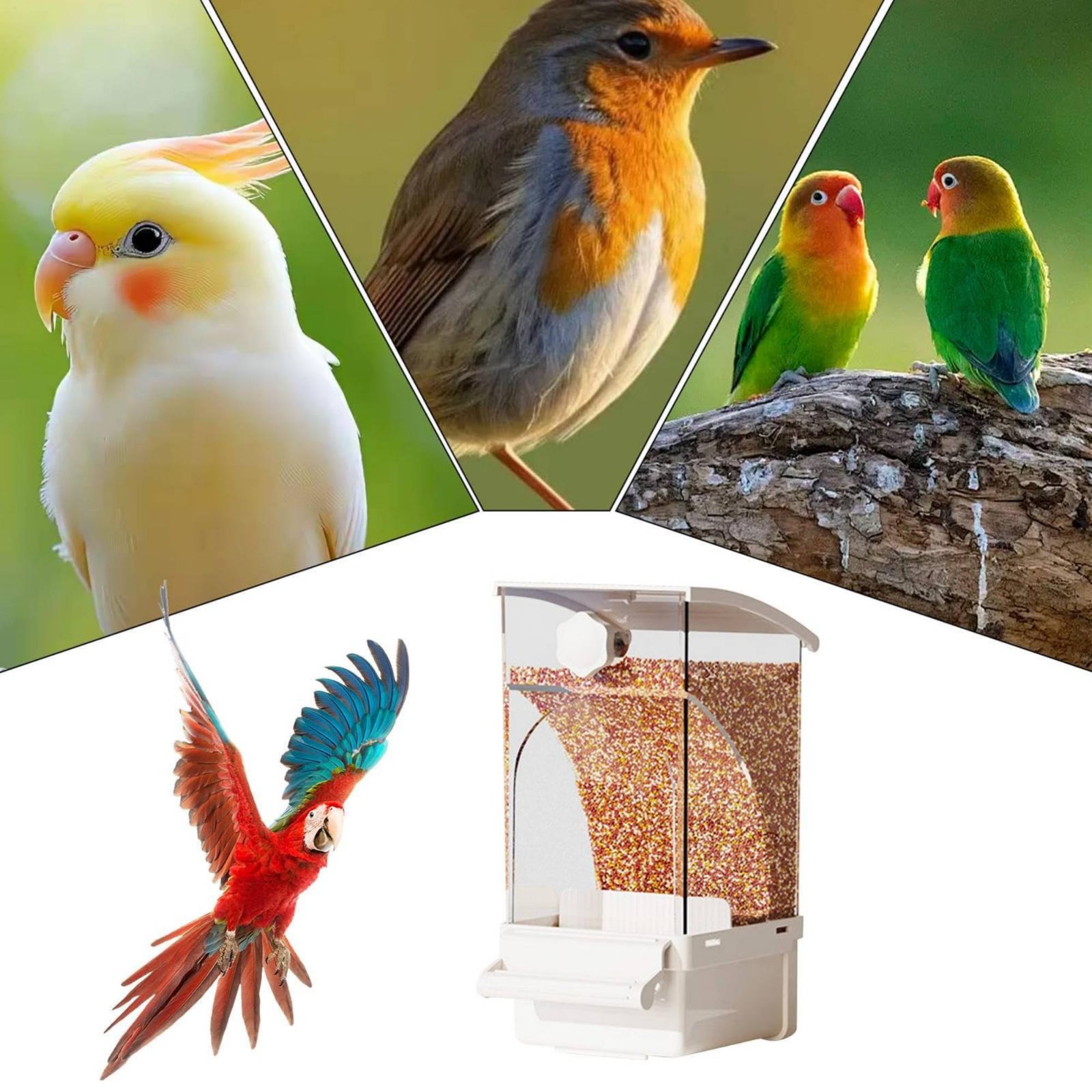 Automatic Avian Feeder Husk Se - Pet Supplies Us ulasan dan harga