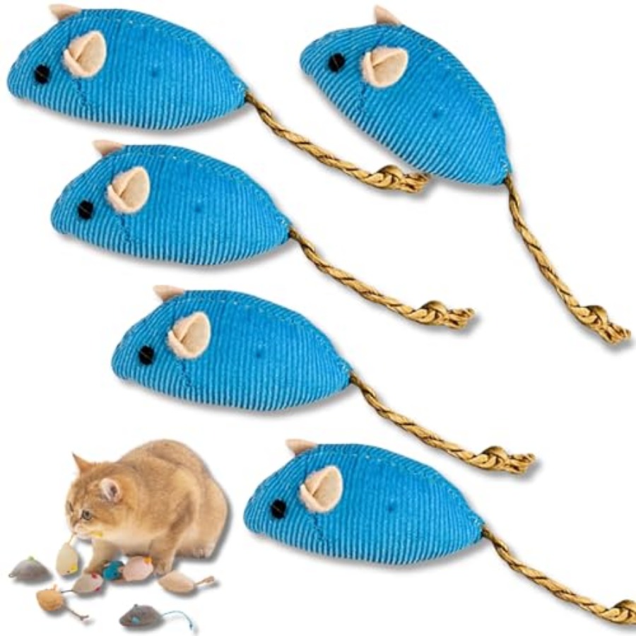 5Pcs Interactive Blue Catnip T - Catnip Toys ulasan dan harga