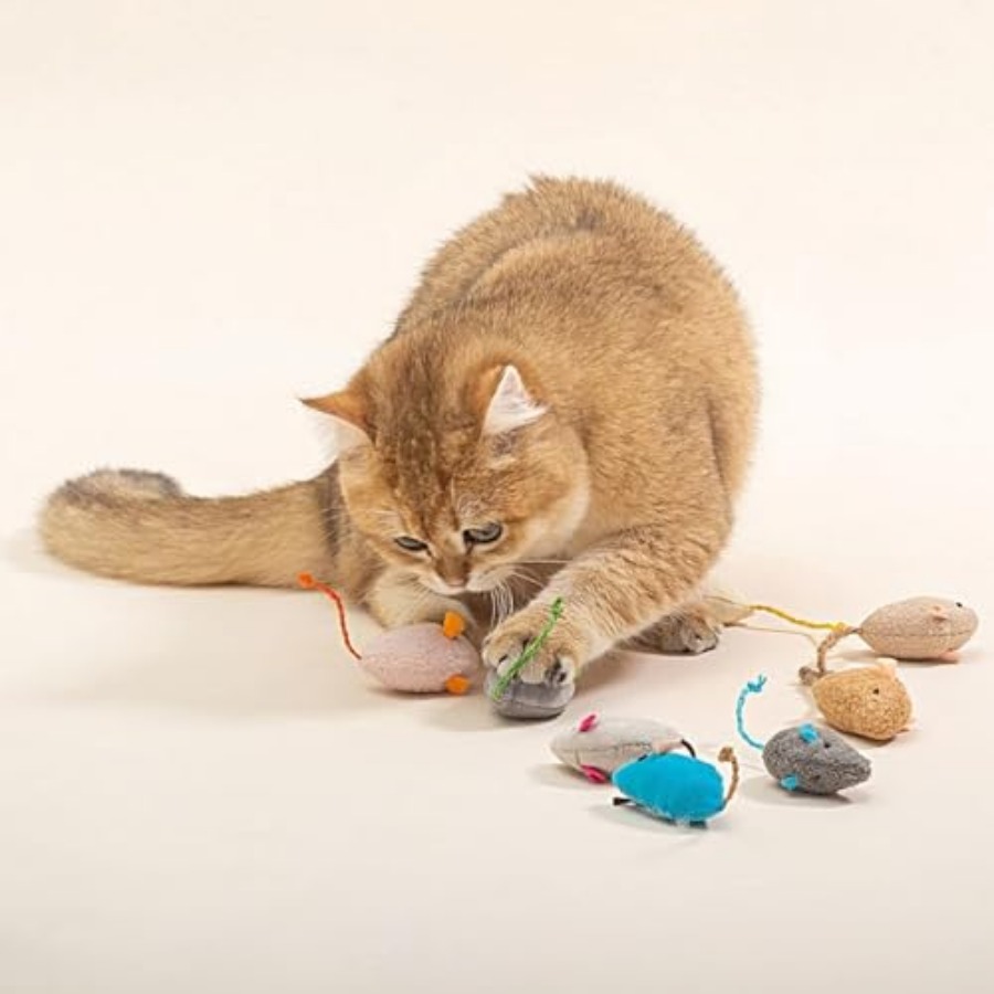 5Pcs Interactive Blue Catnip T - Catnip Toys ulasan dan harga