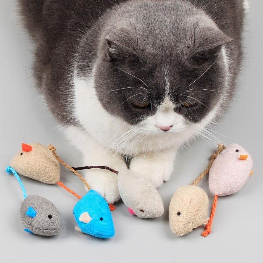 5Pcs Interactive Blue Catnip T - Catnip Toys ulasan dan harga