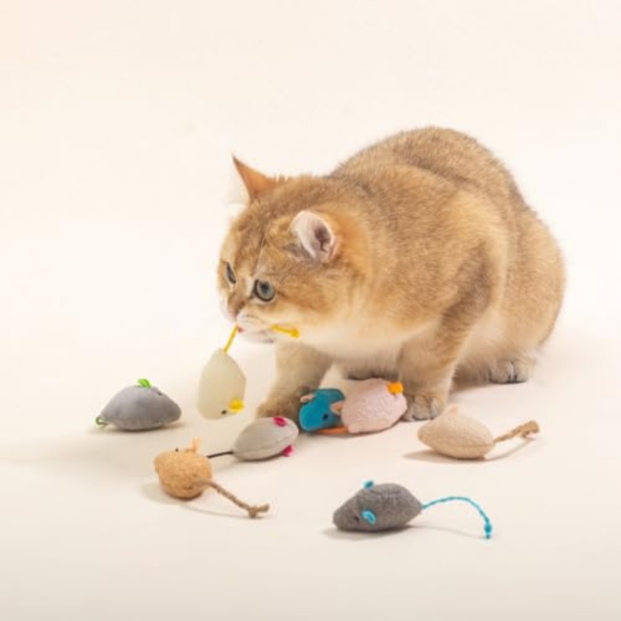 5Pcs Interactive Blue Catnip T - Catnip Toys ulasan dan harga