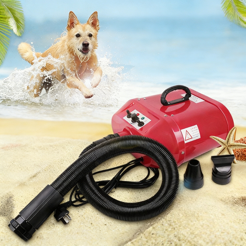 Double Motor Water Blower Pet  - Pet Supplies Pet Shop ulasan dan harga