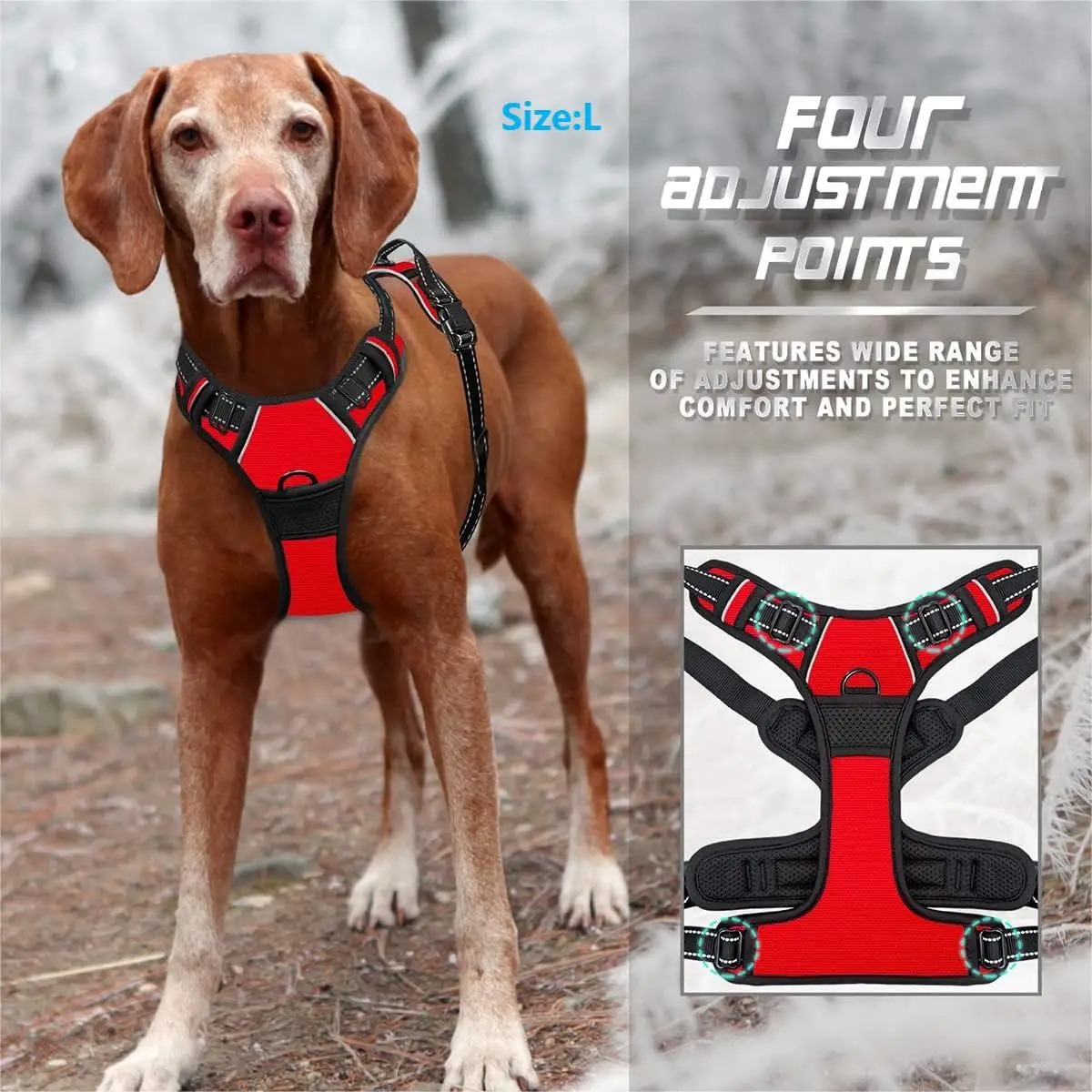 Dog Collar, Harness, Large Ves - Pet Supplies Pet Shop ulasan dan harga