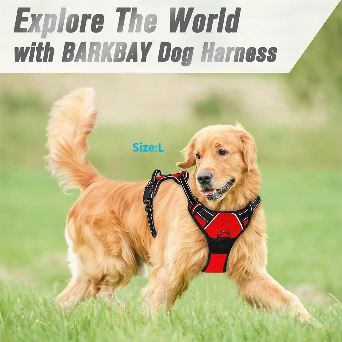 Dog Collar, Harness, Large Ves - Pet Supplies Pet Shop ulasan dan harga