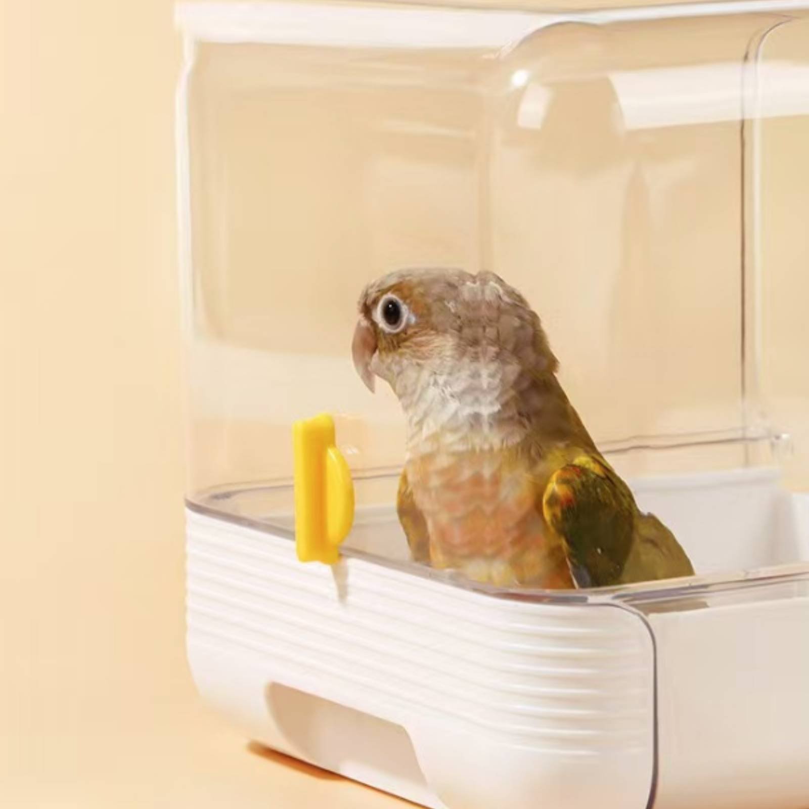 Parrot Bathing Tub Multi Funct - Pet Supplies Us ulasan dan harga