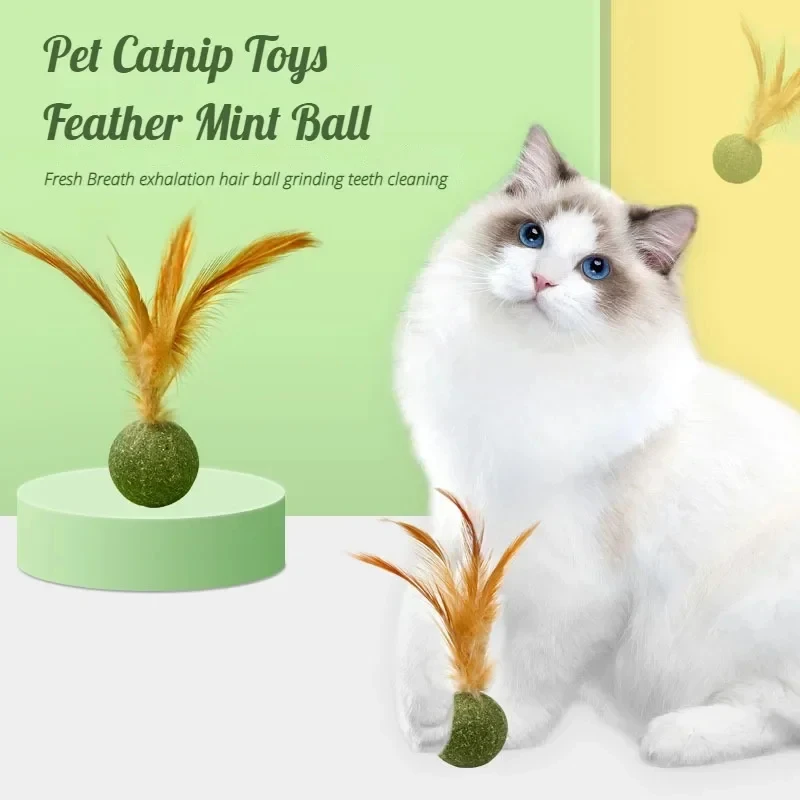 Pet Catnip Toys Edible Catnip  - Catnip Toys ulasan dan harga