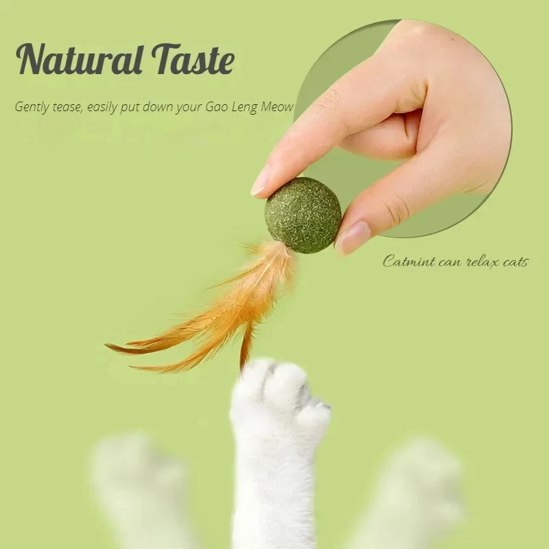 Pet Catnip Toys Edible Catnip  - Catnip Toys ulasan dan harga