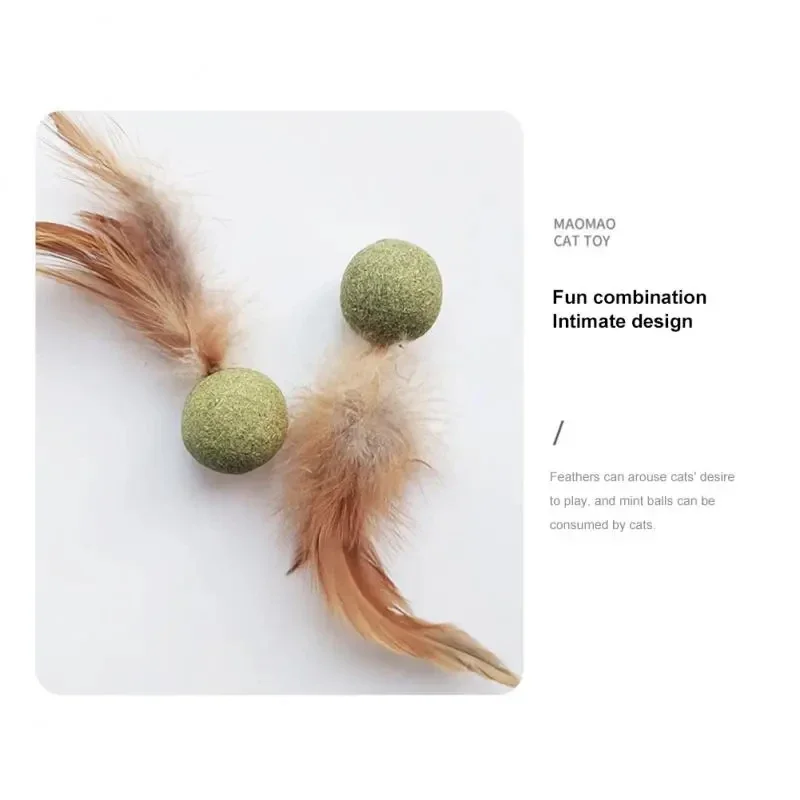 Pet Catnip Toys Edible Catnip  - Catnip Toys ulasan dan harga