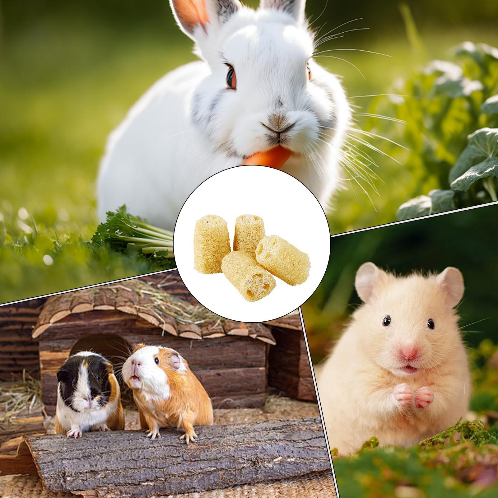 Chew Toys For Bunnies 4 Pieces - Pet Supplies Pet Shop ulasan dan harga