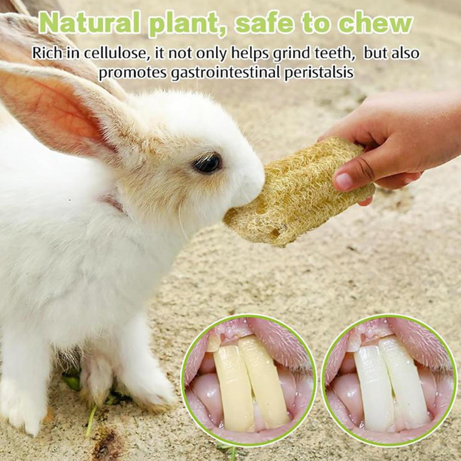 Chew Toys For Bunnies 4 Pieces - Pet Supplies Pet Shop ulasan dan harga