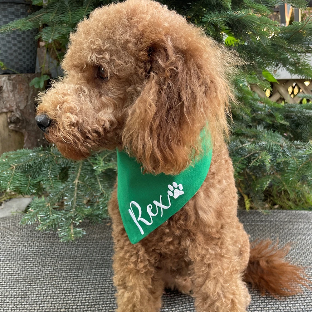 Personalized name Dog Christma - Pet Supplies Warehouse ulasan dan harga