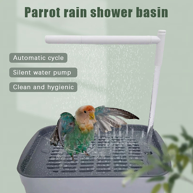 New Sale 2026 Automatic Parrot - Pet Supplies Us ulasan dan harga