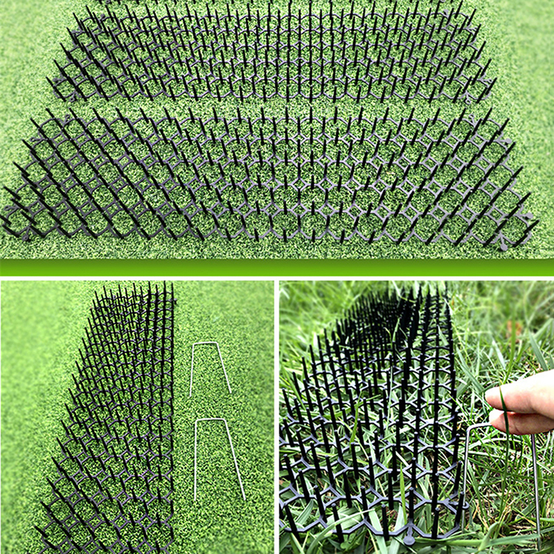 Garden Cat Scat Mat Anti Cat D - Pet Supplies Warehouse ulasan dan harga